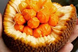 Memahami Manfaat Jus Jeruk Peras Dan Efek Sampingnya